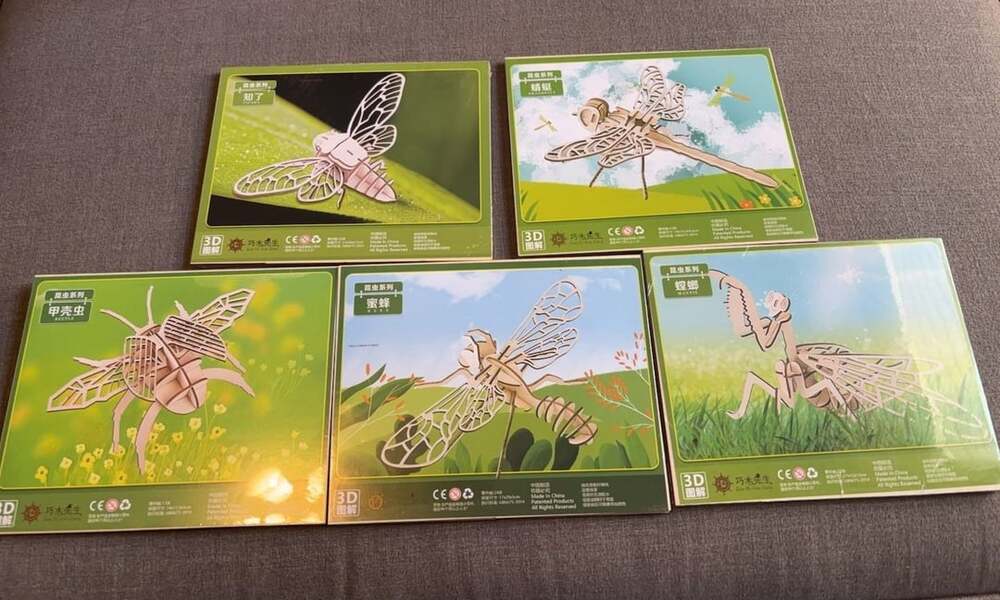 Qiao Mu Xian Sheng 3D Wooden Insect Puzzle Set (5-Piece Collection)